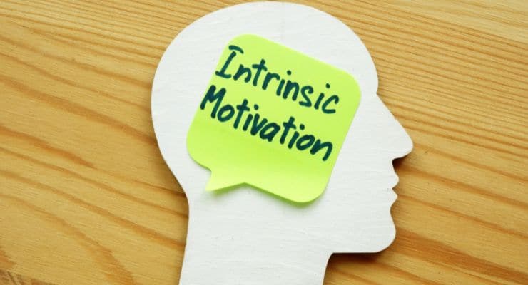 Use Intrinsic Motivation