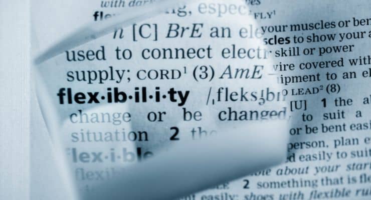 flexibility - business lessons learned